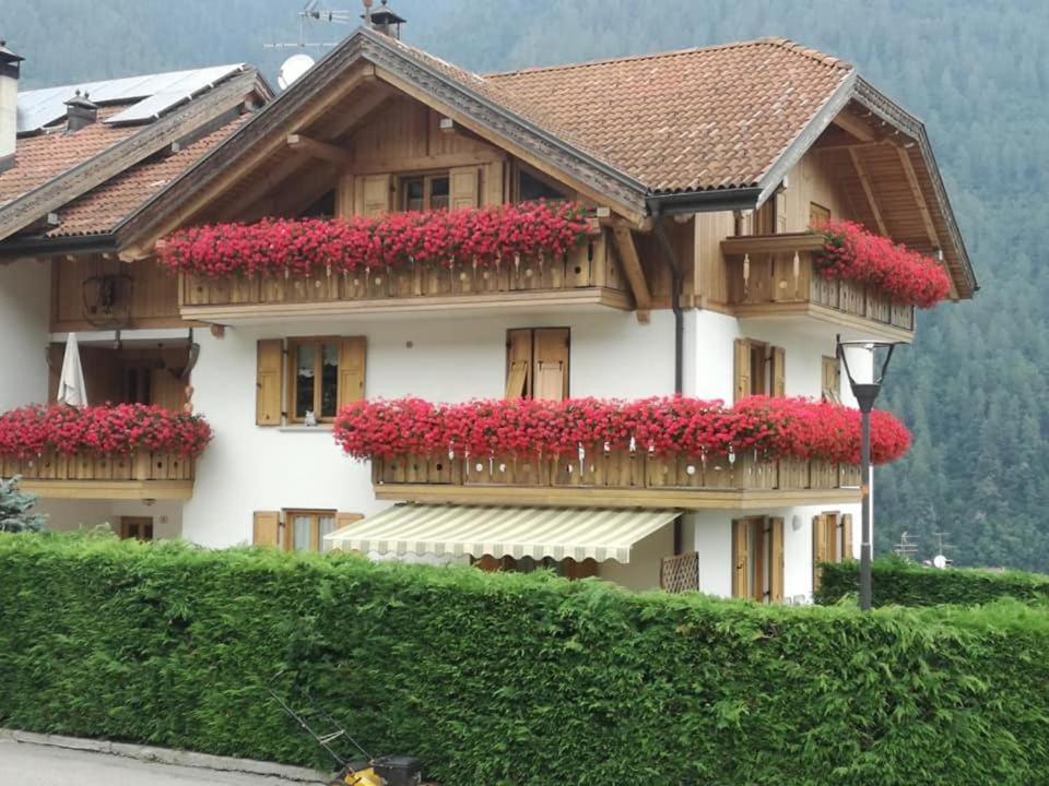 Appartamento Mansarda Patrizia E Franco Val Di Sole كوميزادورا المظهر الخارجي الصورة
