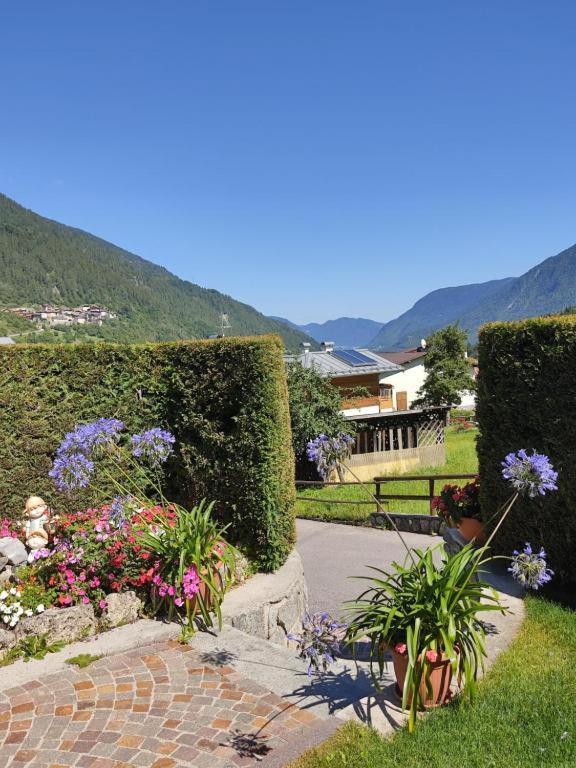 Appartamento Mansarda Patrizia E Franco Val Di Sole كوميزادورا المظهر الخارجي الصورة