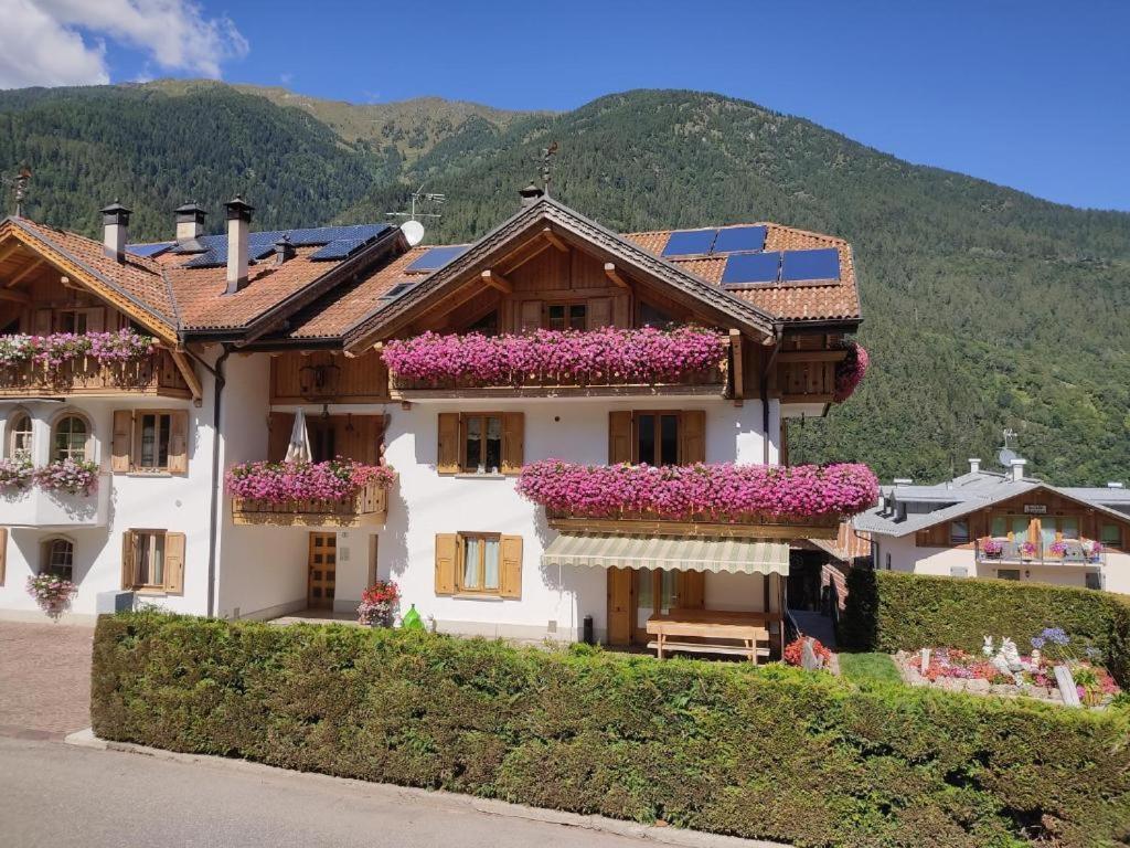 Appartamento Mansarda Patrizia E Franco Val Di Sole كوميزادورا المظهر الخارجي الصورة